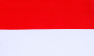 France Flag